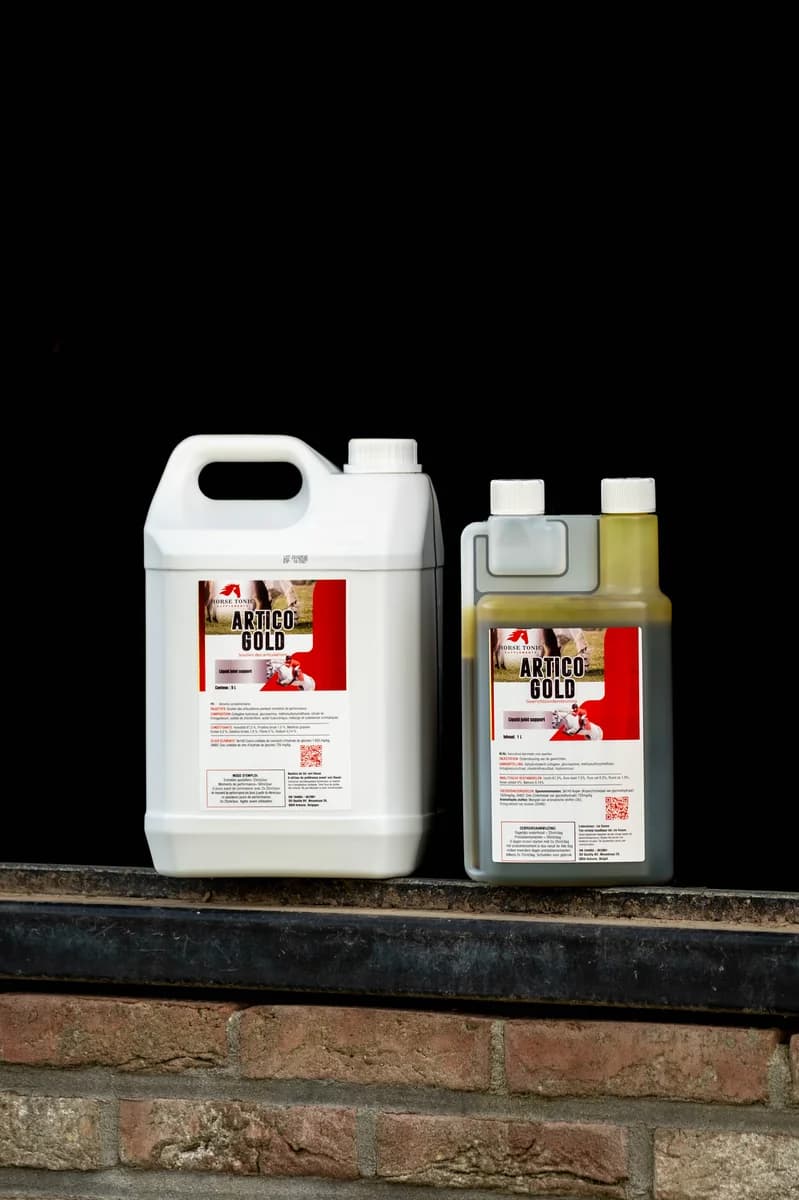 Artico Gold voor paarden: ervaringen, werking & dosering