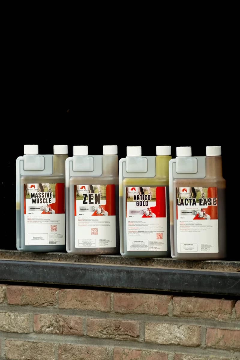 Wat is Horse Tonic? Het Belgische paardenvoedingssupplement uitgelegd
