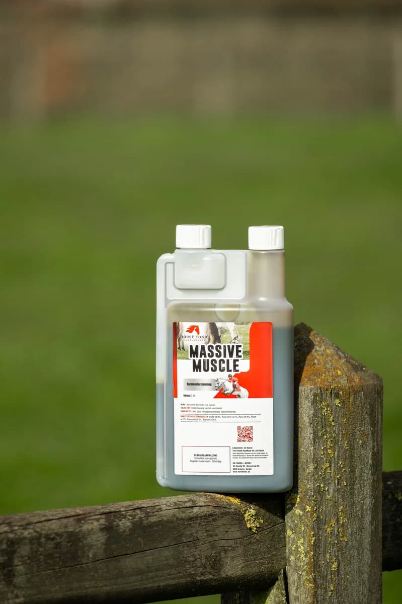 FEI-goedgekeurde supplementen voor paarden: alles wat je moet weten