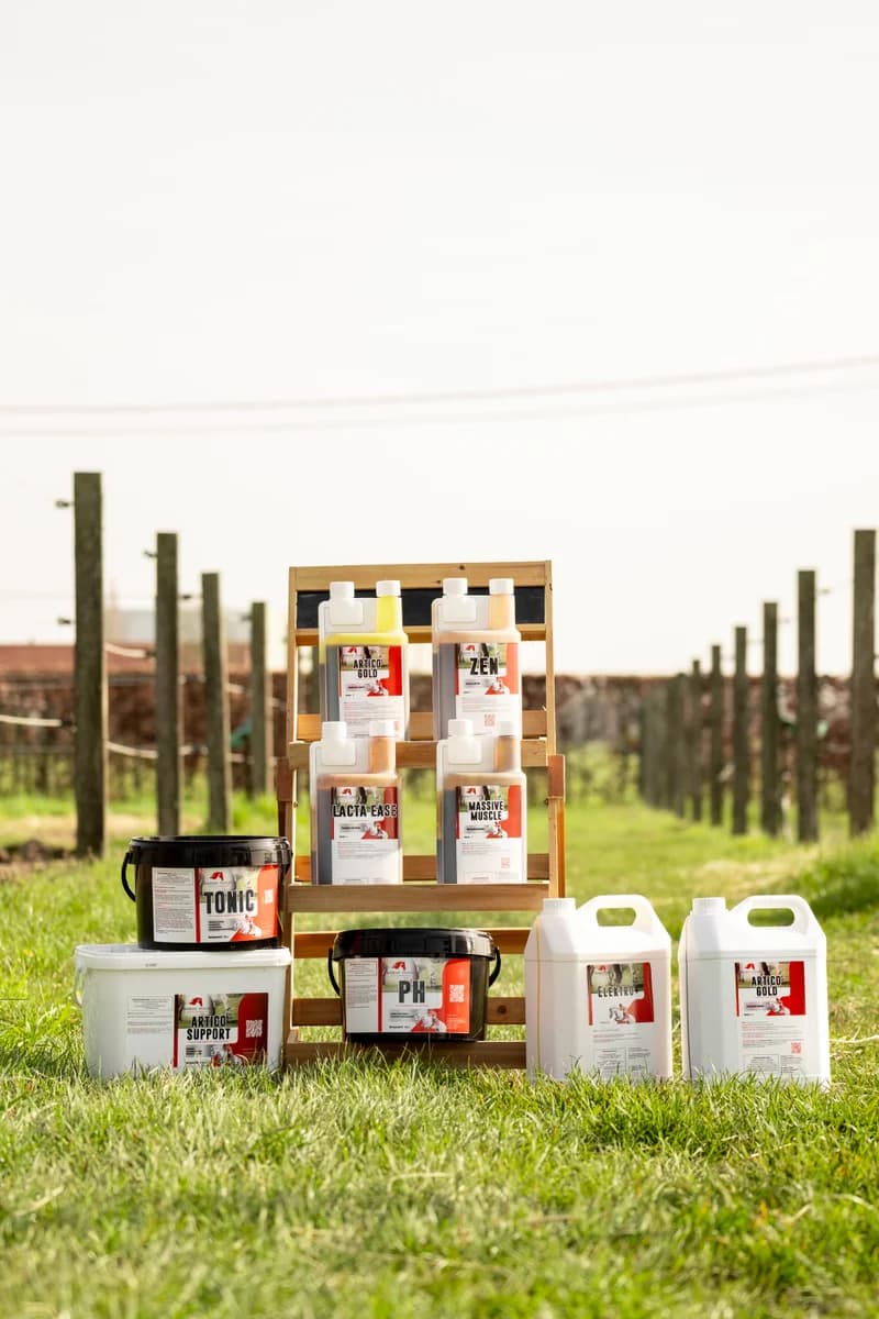 De volledige Horse Tonic productlijn opgesteld in een weide